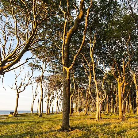 Ostseeloggia Apartment