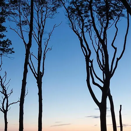 Ostseeloggia Apartment Nienhagen