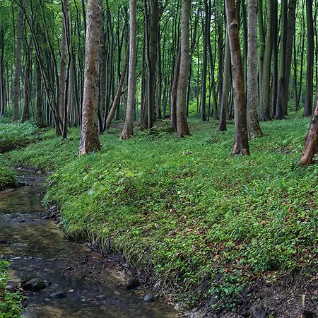 Ostseeloggia Apartment